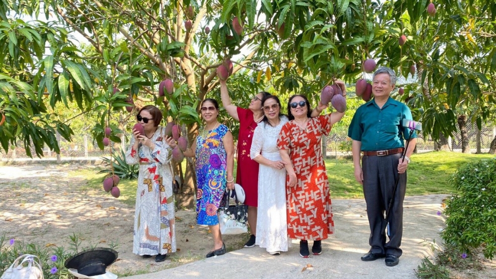 Du lịch trải nghiệm vườn xoài đang trở thành sản phẩm đặc sắc thúc đẩy phát triển du lịch ở Khánh Hòa. (Ảnh: Thế Truyền)