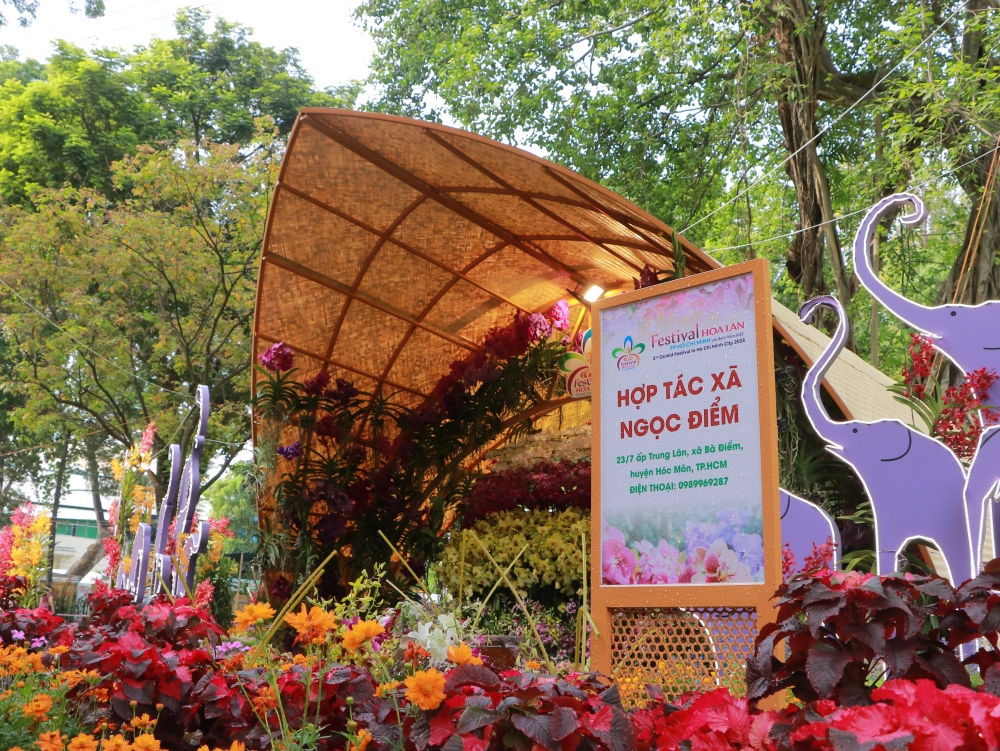 Hàng ngàn lượt khách đến tham quan Festival hoa lan TP.HCM