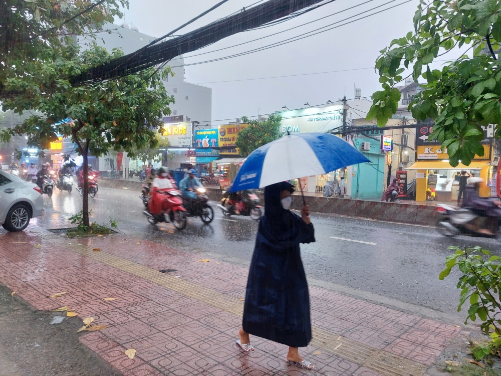 TP.HCM: Cơn mưa "vàng" giải nhiệt sau nhiều ngày nắng nóng