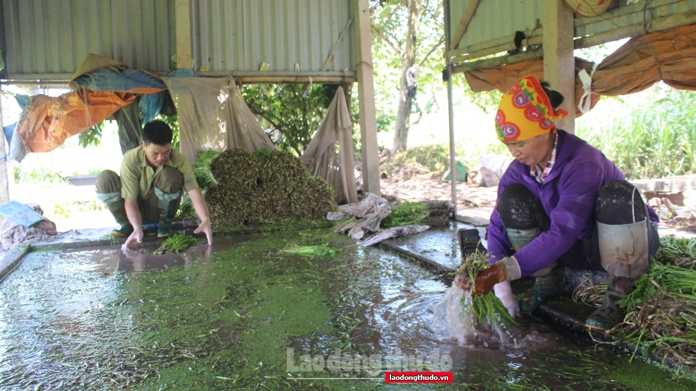 Nước sạch góp phần nâng cao chất lượng cuộc sống người dân huyện Phú Xuyên