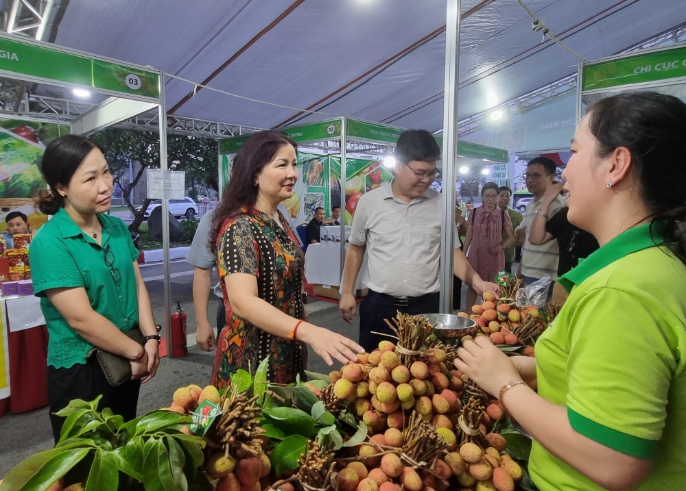 Trên 80 doanh nghiệp tham gia Tuần hàng trái cây, nông sản các tỉnh thành phố tại Hà Nội