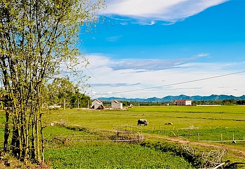 Mùa gió nắng lao xao