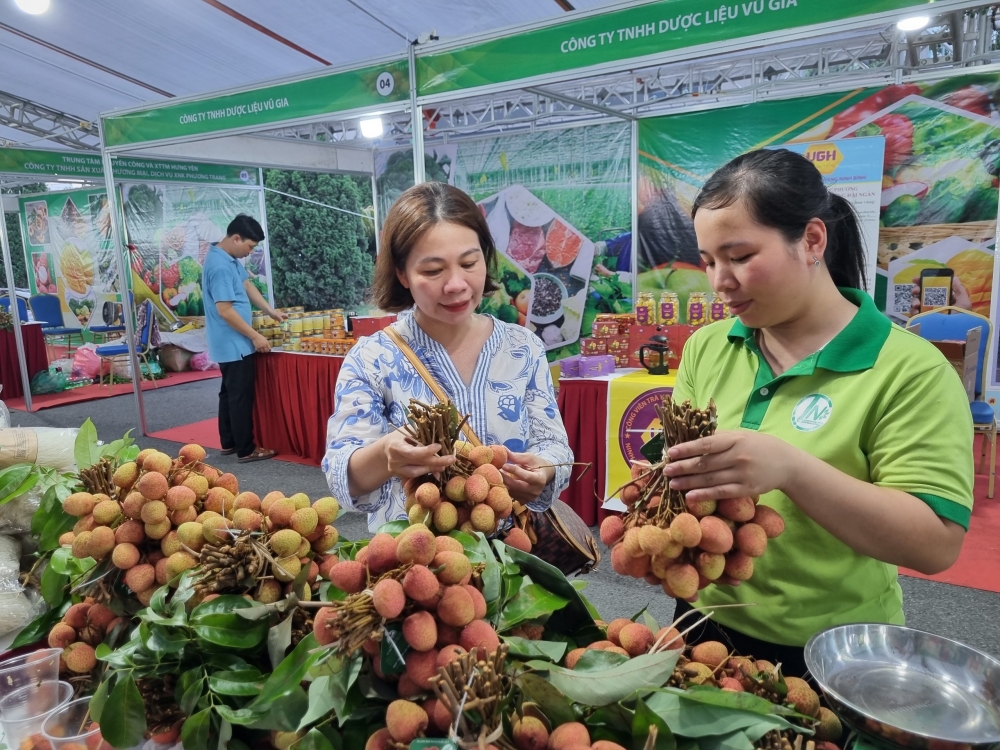 Vải - nhãn: Sản phẩm chủ lực tạo nên thương hiệu nông sản Việt