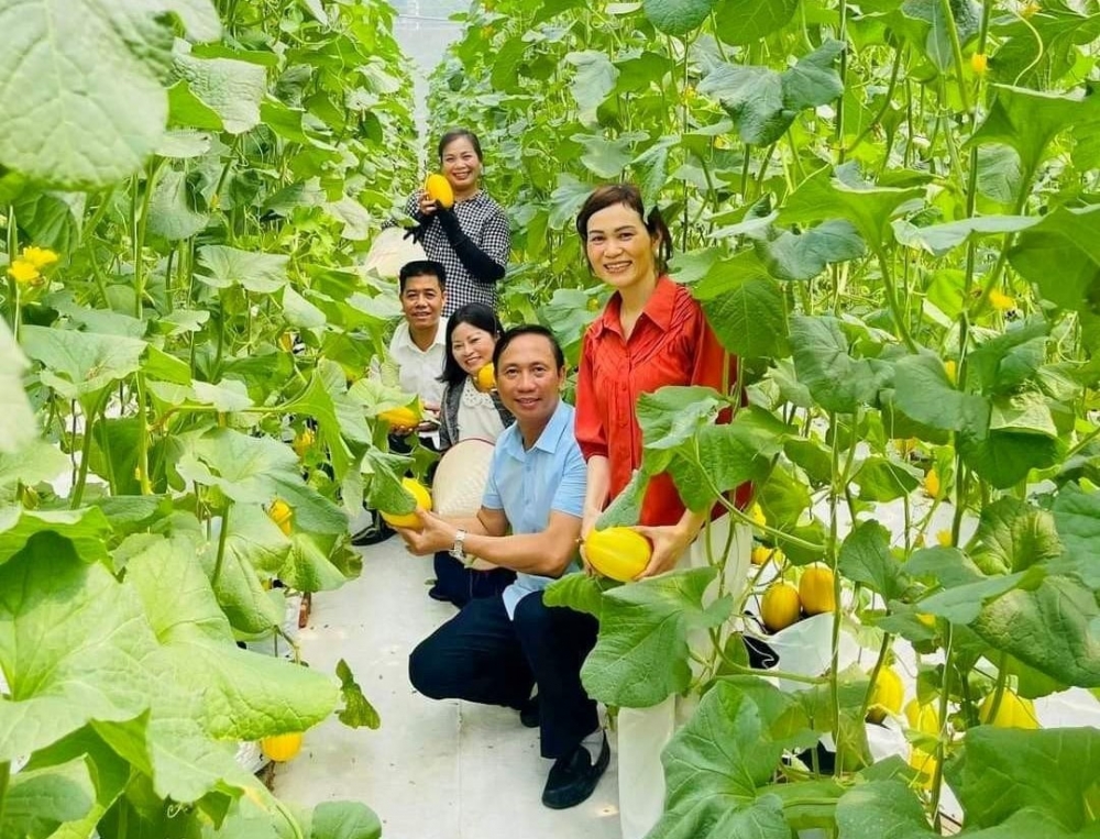 Thủ tướng Bình Phước phải là thủ phủ của nông nghiệp công nghệ cao  VTVVN