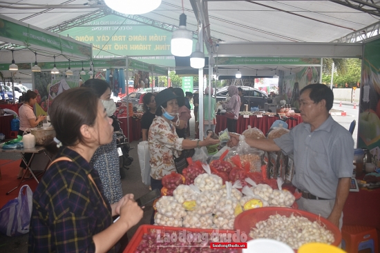 Tuần hàng trái cây, nông sản các tỉnh, thành tại Hà Nội diễn ra từ 23 - 27/6