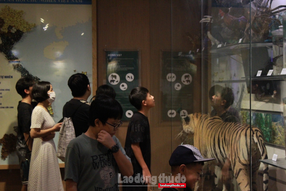 Khám phá Bảo tàng Thiên nhiên Việt Nam tại Hà Nội