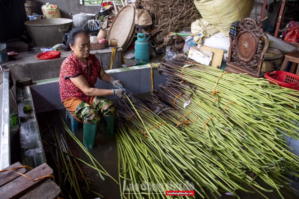Người dệt ước mơ đưa văn hóa Việt ra thế giới