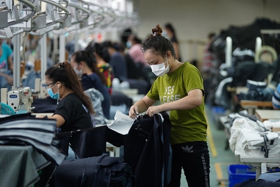 TP.HCM: Cấp giấy phép lao động mới cho gần 7.000 người nước ngoài