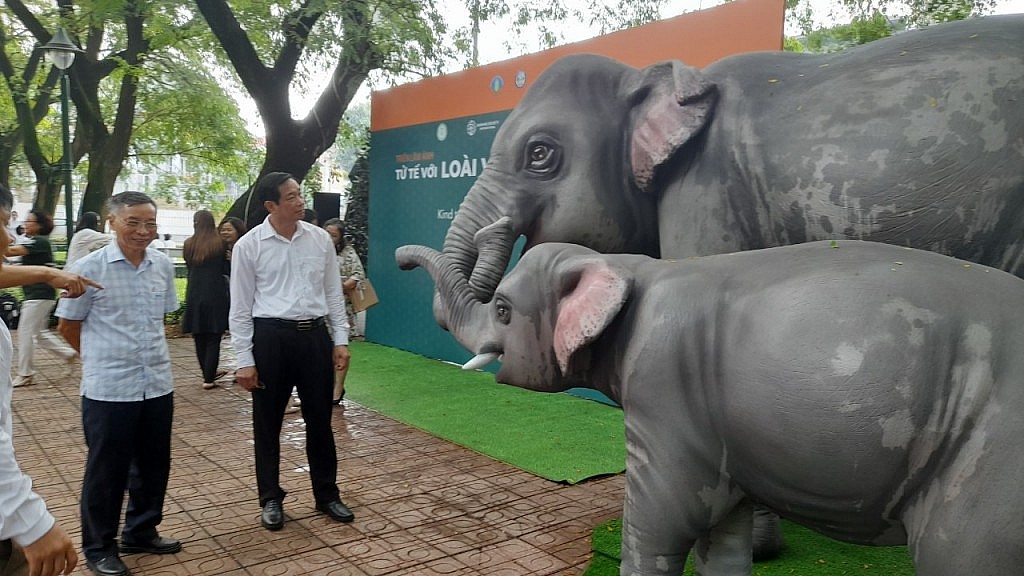 Đặt bẫy ảnh để quản lý đàn voi rừng ở Đồng Nai