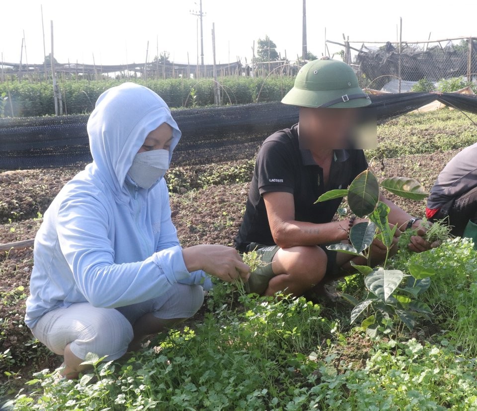 Hiệu quả từ mô hình “Tình nguyện viên giúp đỡ người sau cai nghiện ma túy hòa nhập cộng đồng”