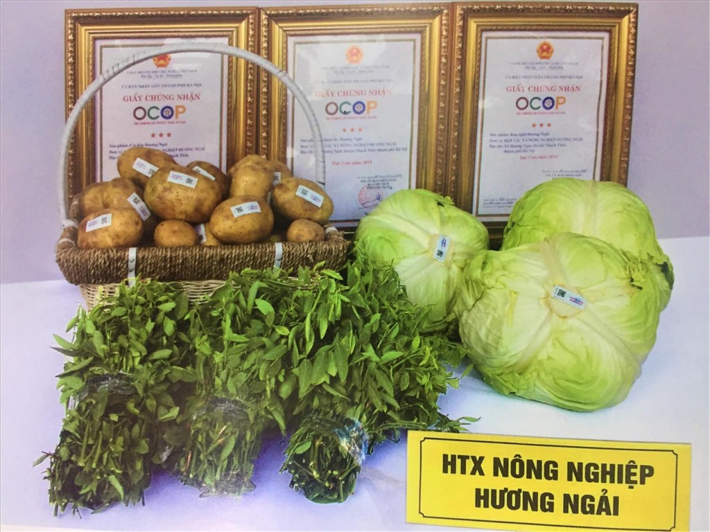 Huyện Thạch Thất đứng đầu thành phố Hà Nội về sản phẩm OCOP
