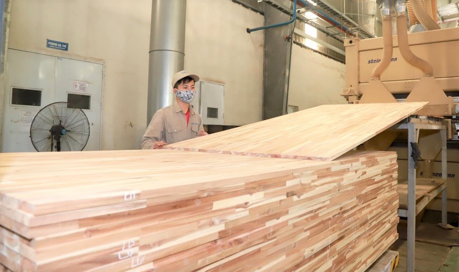 Hiệu quả phát triển rừng và ứng dụng công nghệ cao vào sản xuất lâm nghiệp ở Nghệ An