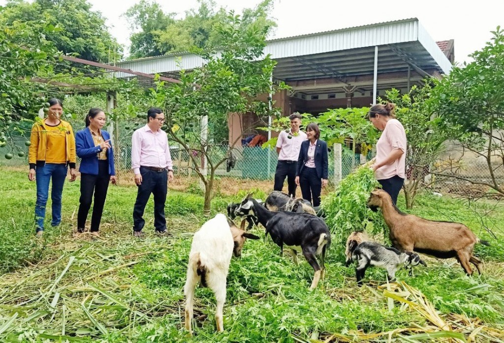 Chi nhánh Ngân hàng CSXH tỉnh Nghệ An triển khai hiệu quả các chương trình tín dụng