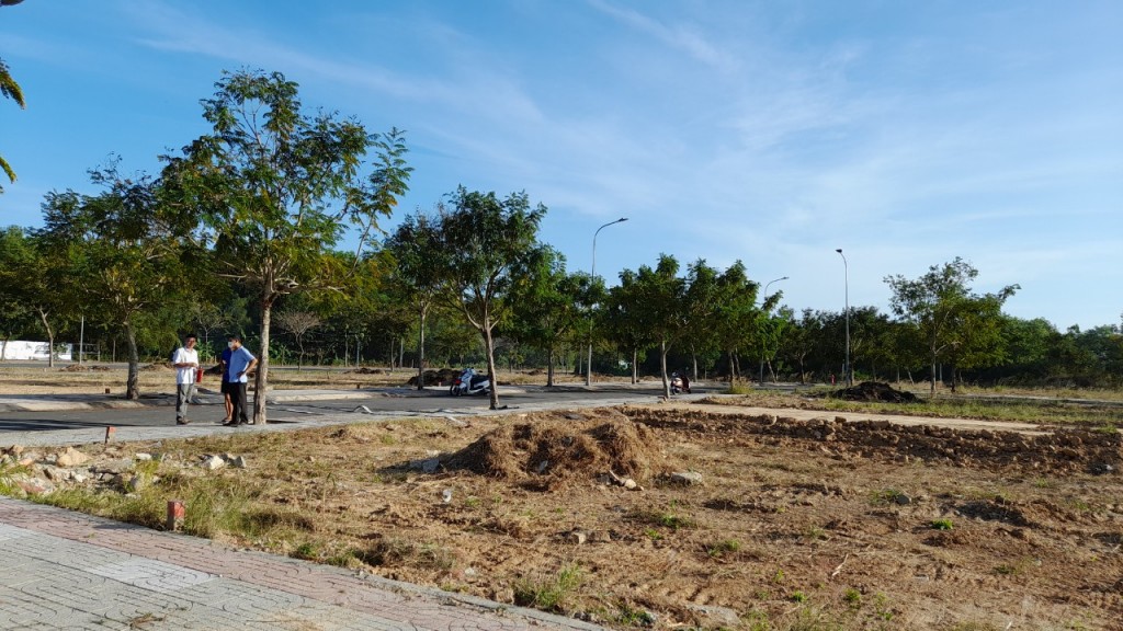 Hàng nghìn ha đất nông nghiệp tại Đồng Nai sẽ được chuyển mục đích sử dụng