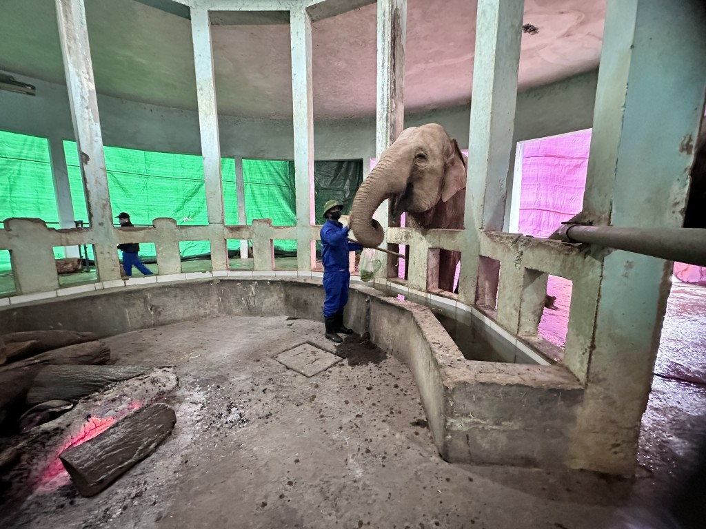 Thực hư câu chuyện chăm sóc động vật tại Vườn thú Hà Nội