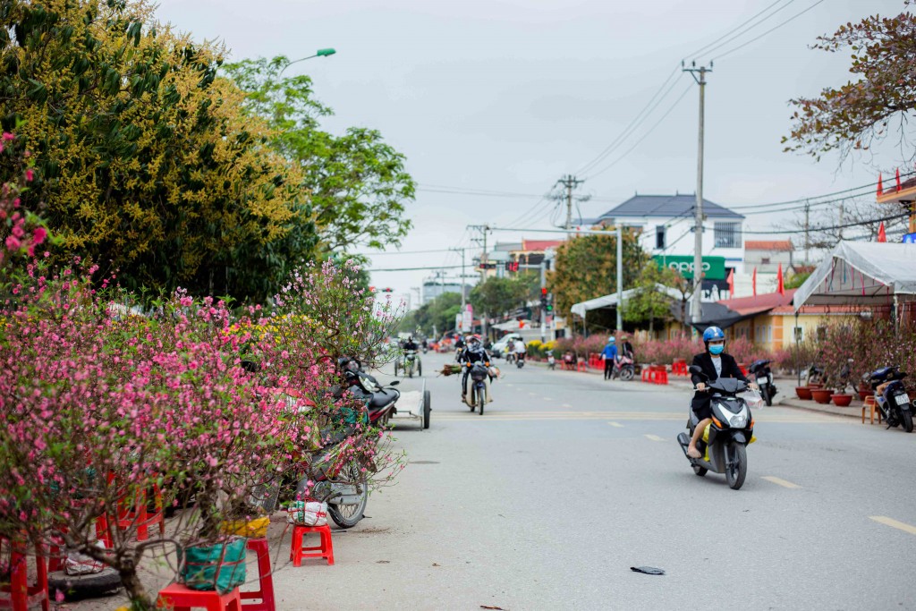Chợ hoa xuân Quảng Bình tấp nập những ngày cận Tết