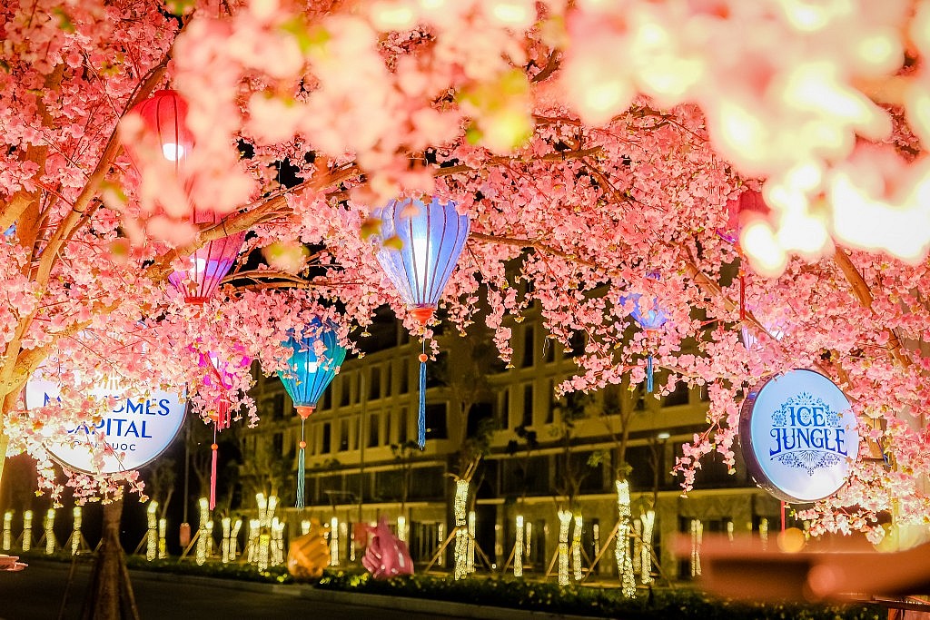 Tết Nguyên đán 2024: "Hoa Ánh Sáng" huyền ảo xuất hiện ở Phú Quốc