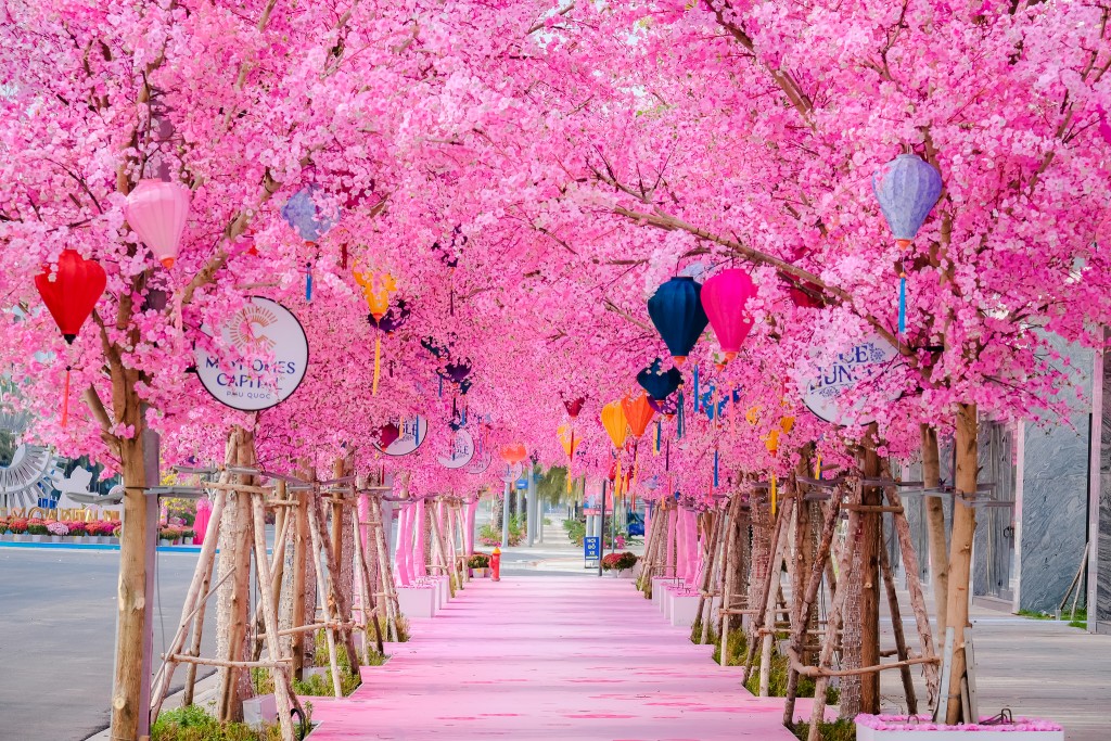 Tết Nguyên Đán 2024: “Hoa Ánh Sáng” Huyền Ảo xuất hiện tại Phú Quốc