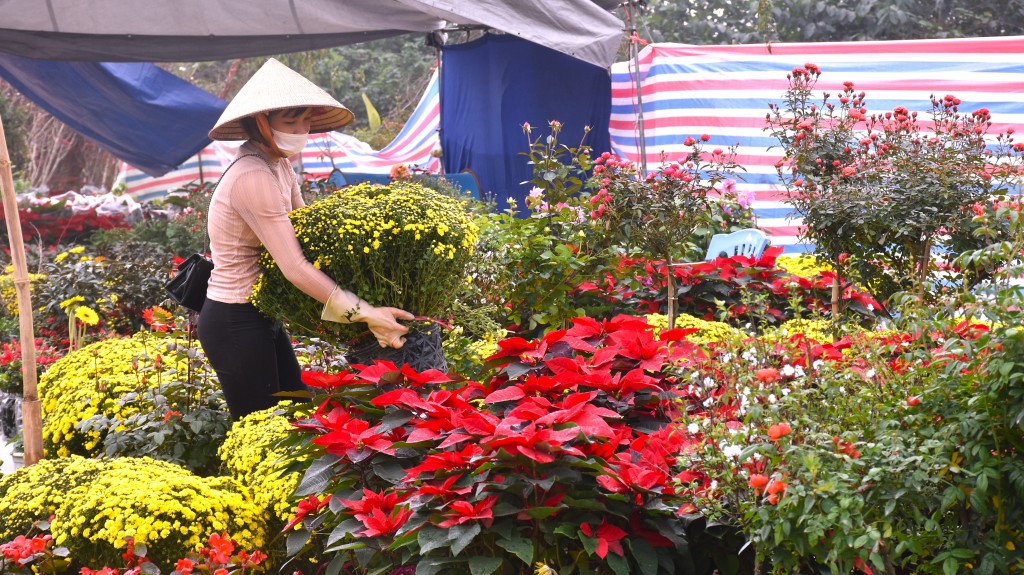 Chợ hoa Tết giữa lòng Thành cổ Sơn Tây