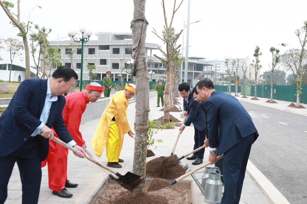 Quận Hoàng Mai phấn đấu trồng 2.500 cây xanh trong năm 2024
