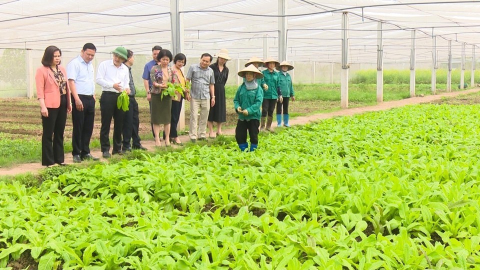 Huyện Thường Tín phấn đấu về đích nông thôn mới nâng cao năm 2024
