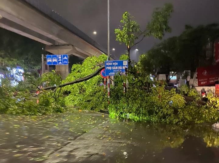 Hà Nội: Mưa đá kèm giông lớn, nhiều cây xanh gãy đổ ngang đường