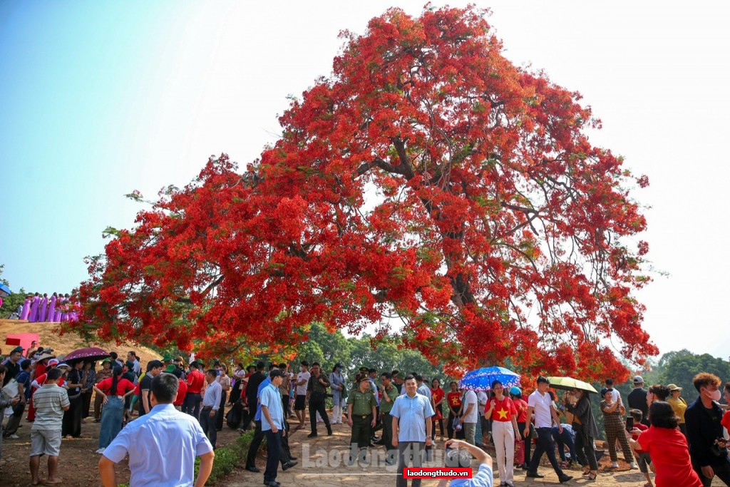 Nhiều di tích lịch sử ở Điện Biên nhộn nhịp du khách tham quan