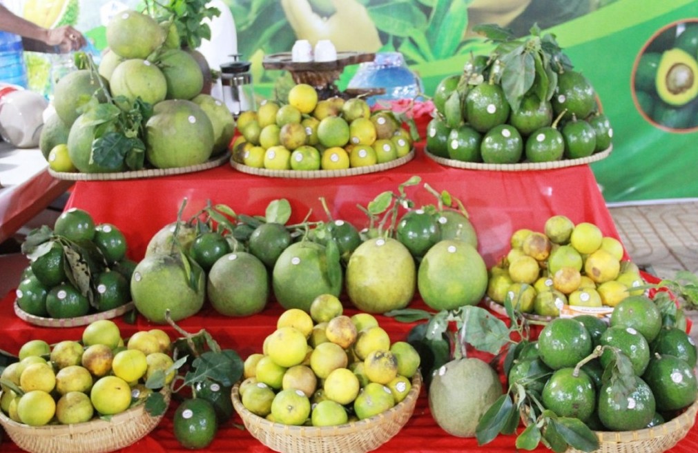 Hà Nội tổ chức Tuần lễ quảng bá nông sản cao cấp