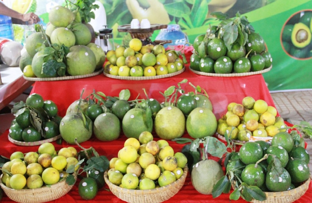 Hà Nội tổ chức tuần lễ quảng bá nông sản cao cấp