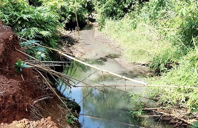 Đồng Nai: Đã tìm ra “thủ phạm” khiến suối Mã Đà bị ô nhiễm