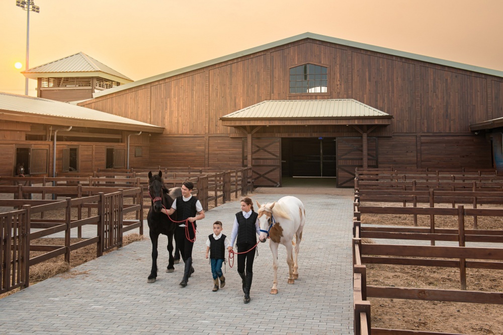 Vinpearl Horse Academy Vũ Yên có những chương trình đào tạo bài bản giúp học viên, cư dân Vinhomes Royal Island rèn luyện thể lực, trí lực thông qua bộ môn thể thao cưỡi ngựa