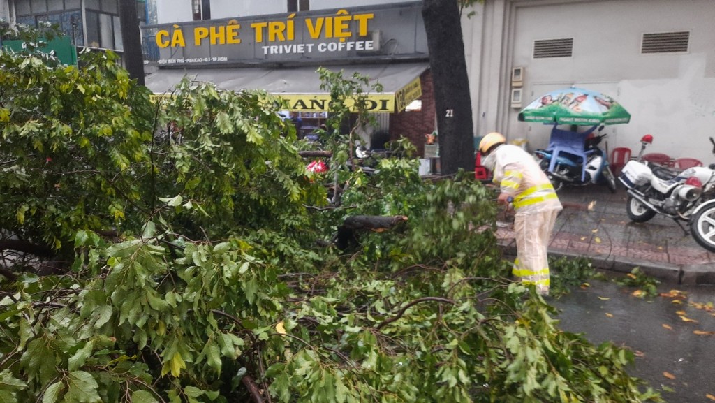 Thành phố Hồ Chí Minh: Xuất hiện mưa đá, cây xanh bật gốc