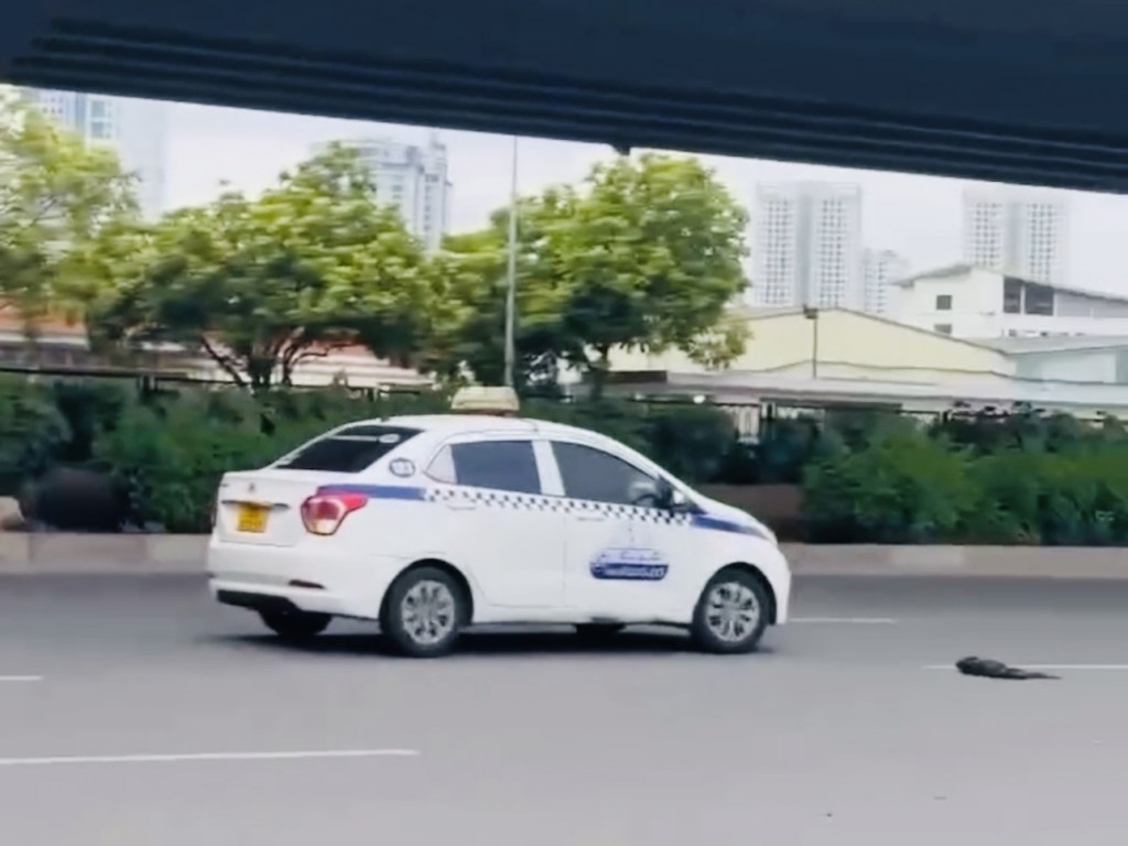 Triệu tập tài xế taxi Thanh Nga "Drift xe" trên đường Phạm Hùng