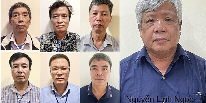 Nguyên Thứ trưởng Bộ Tài nguyên và Môi trường Nguyễn Linh Ngọc bị khởi tố