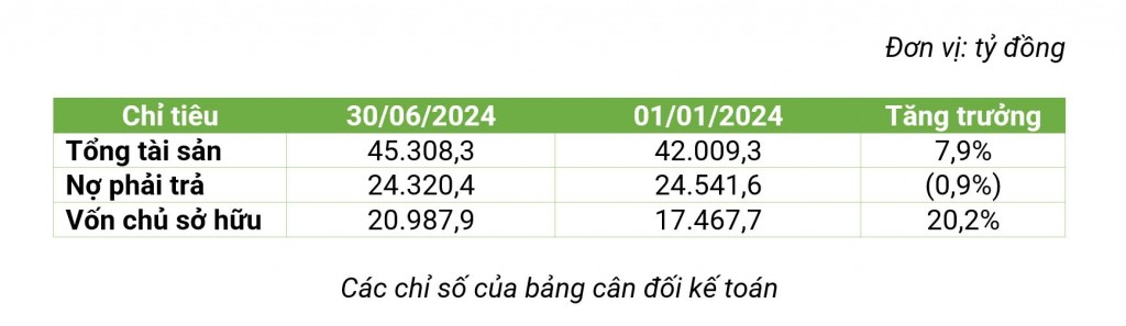 Các chỉ số của bảng cân đối kế toán. (Đơn vị: tỷ đồng).