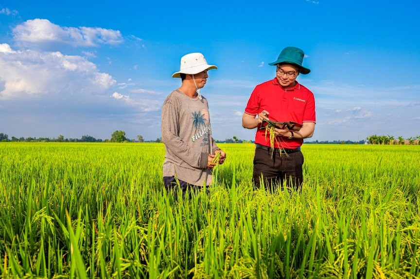 Agribank cung ứng vốn tín dụng phát triển 1 triệu héc-ta lúa chất lượng cao