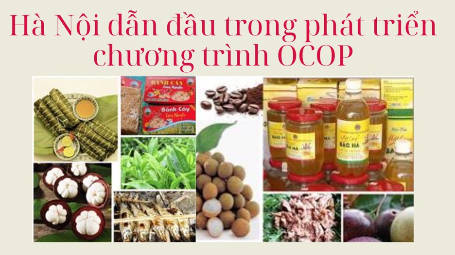 Hà Nội dẫn đầu trong phát triển chương trình OCOP