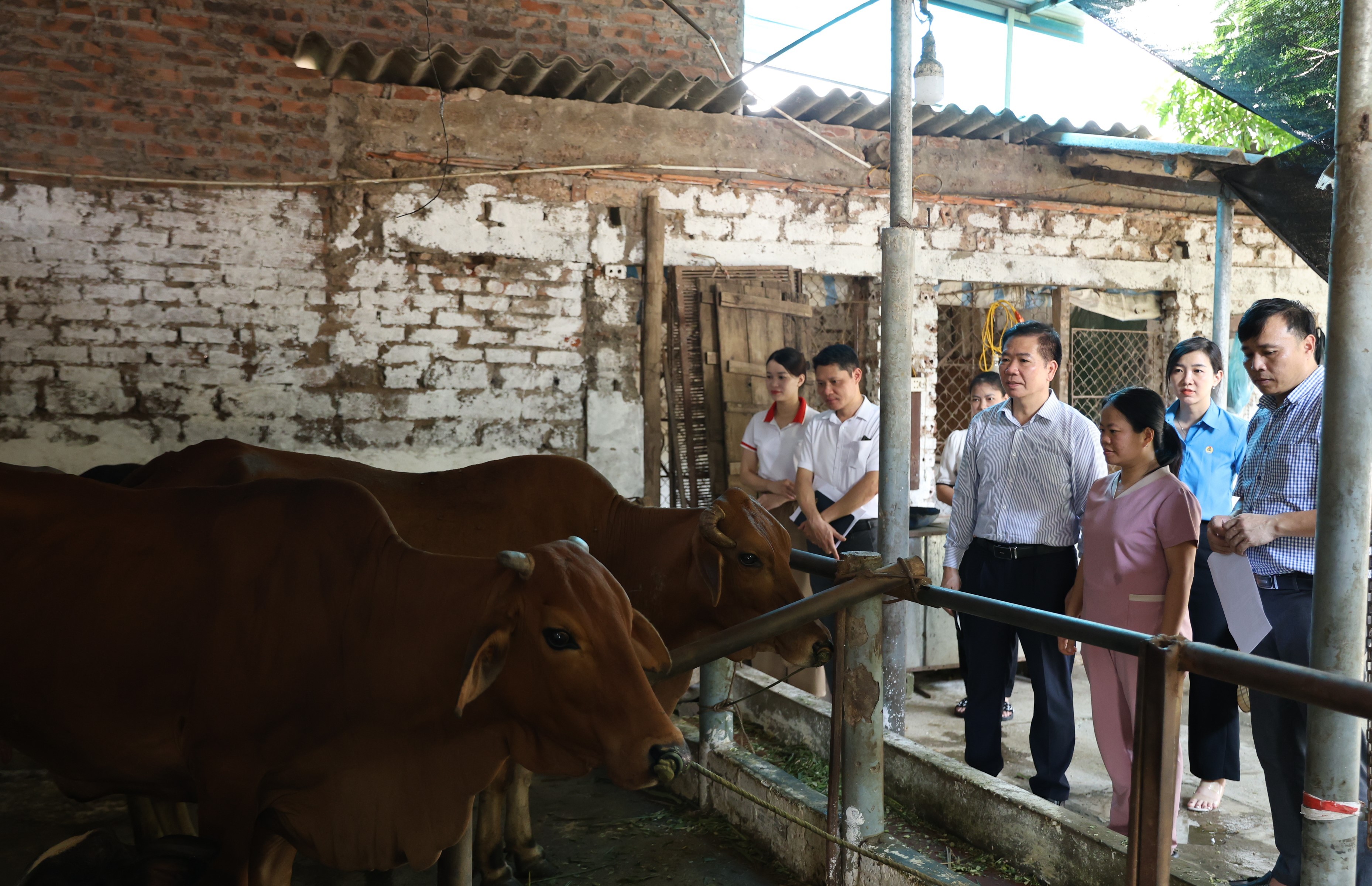 Phối hợp thực hiện tốt công tác cho đoàn viên Công đoàn vay vốn phát triển kinh tế gia đình