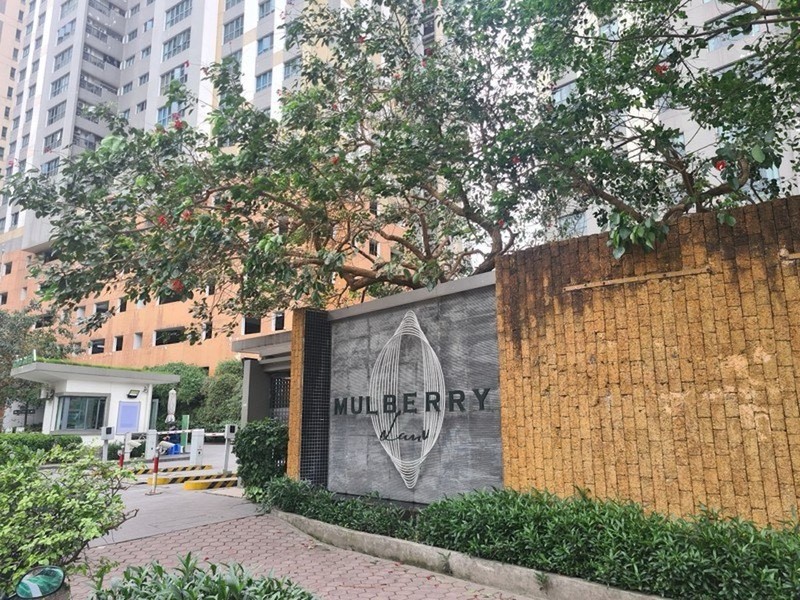 Khởi tố nữ thư ký Ban quản trị chung cư Mulberry Lane ở Hà Đông