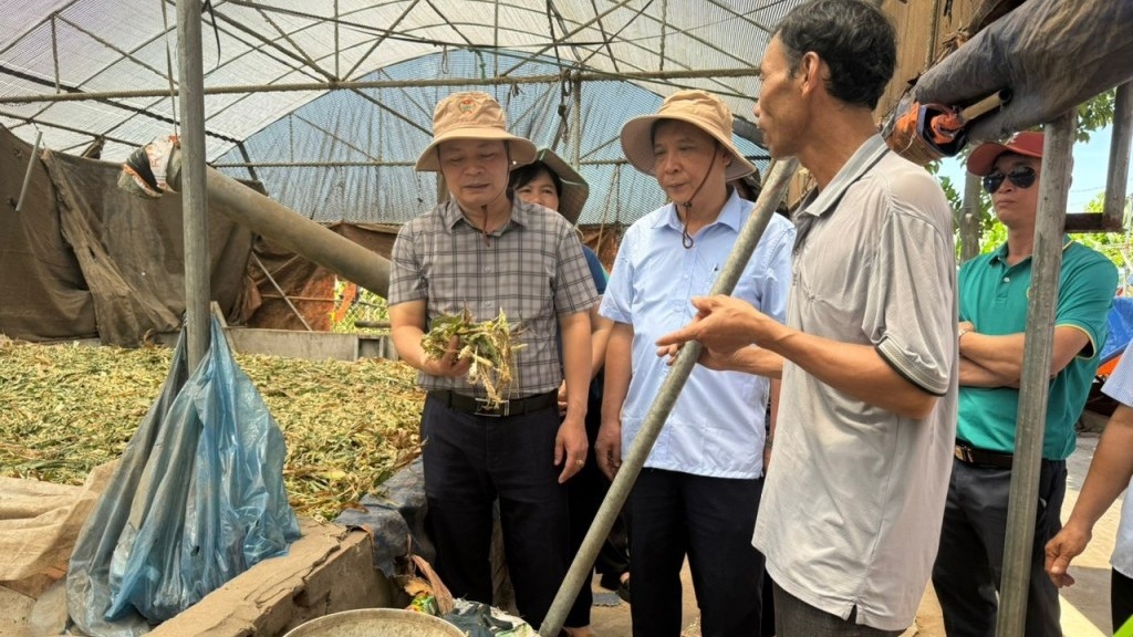 Hội Nông dân thành phố Hà Nội hành động vì một tương lai xanh