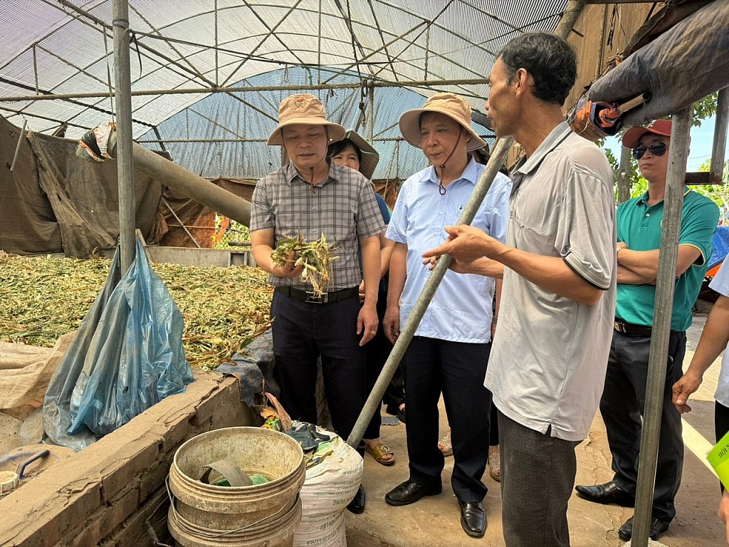 Hội Nông dân thành phố Hà Nội hành động vì một tương lai xanh