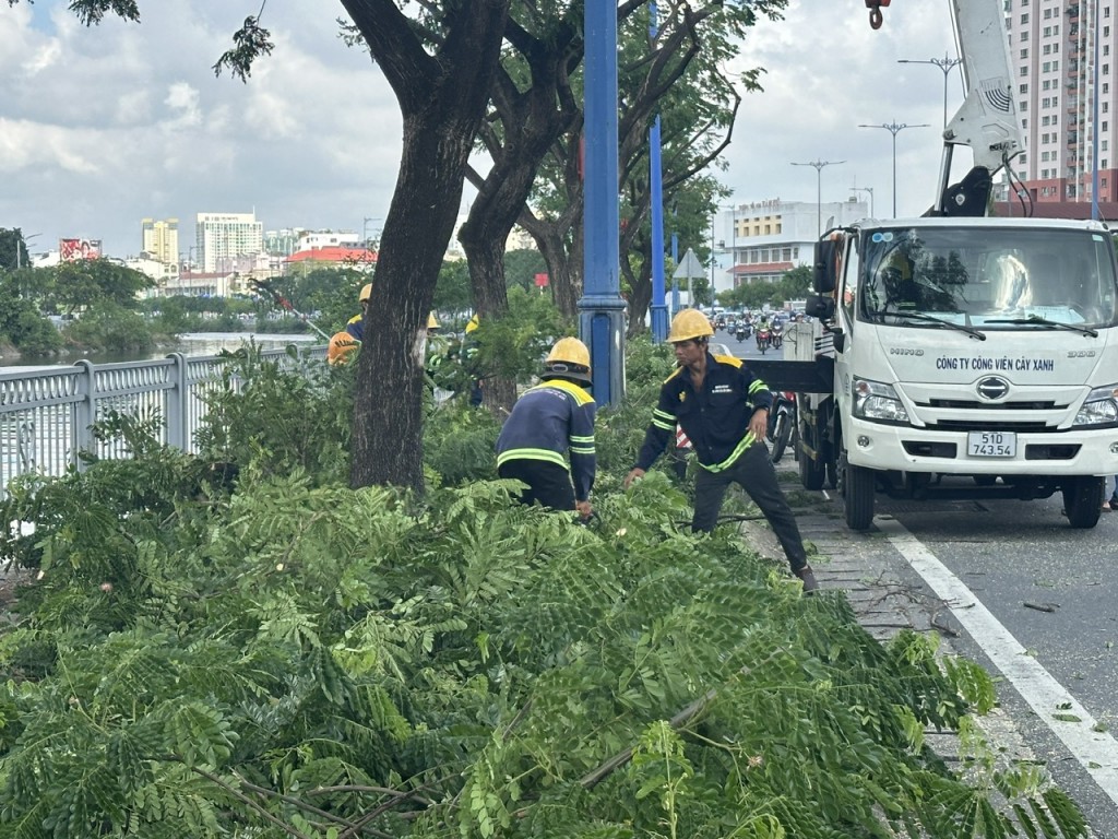 Thành phố Hồ Chí Minh ứng phó như thế nào sau sự cố cây xanh gãy đổ gây chết người?