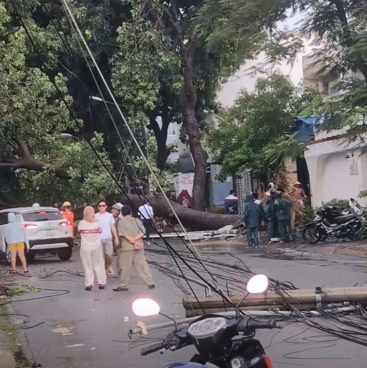 Thành phố Hồ Chí Minh có mưa to kèm dông lốc, cây gãy đổ đầy đường