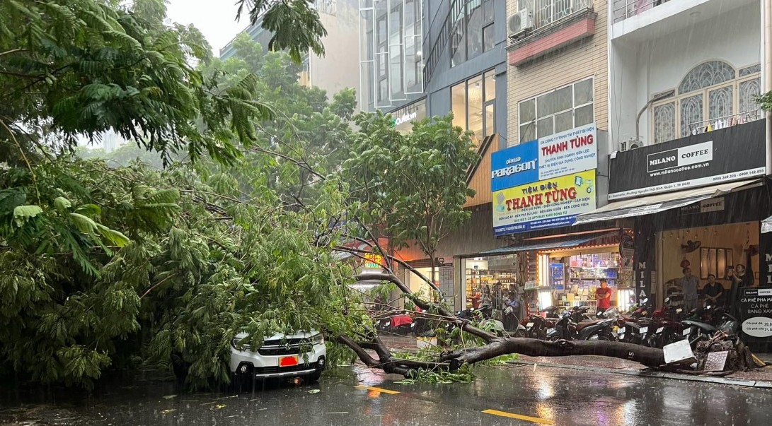 Chiều 4/9: Thành phố Hồ Chí Minh xảy ra mưa to kèm dông lốc, nhiều cây gãy đổ