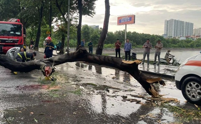 Lãnh đạo quận Hoàng Mai thăm hỏi nạn nhân bị cây đè do bão số 3