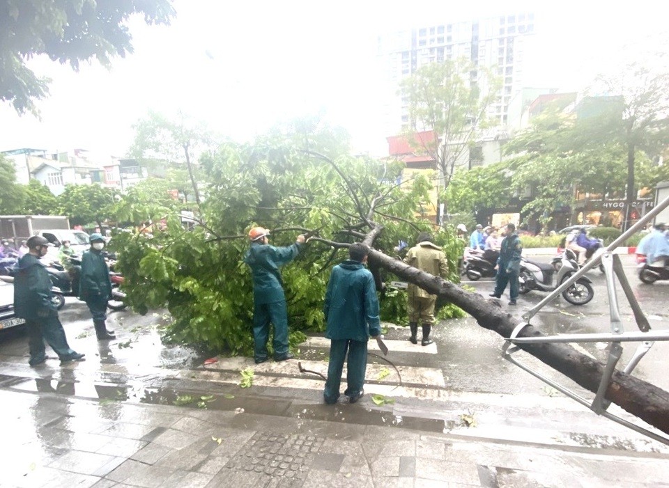 Hà Nội: Khắc phục tình trạng cây xanh gãy đổ, ứng trực sớm tại các điểm ngập úng trước khi bão số 3 đổ bộ