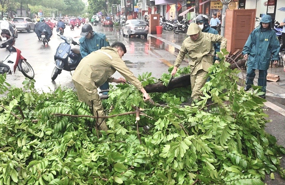 Hà Nội: Khắc phục tình trạng cây xanh gãy đổ, ứng trực sớm tại các điểm ngập úng trước khi bão số 3 đổ bộ