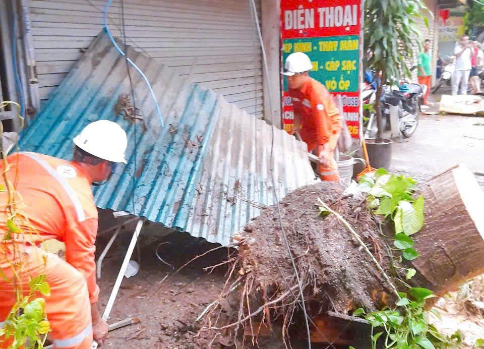 Thanh Trì: Nỗ lực để ít thiệt hại nhất khi cơn bão tới