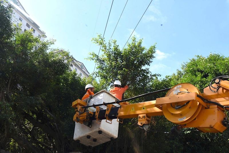 Công nhân EVNHANOI tiến hành kiểm tra, cắt tỉa cây gần hành lang lưới