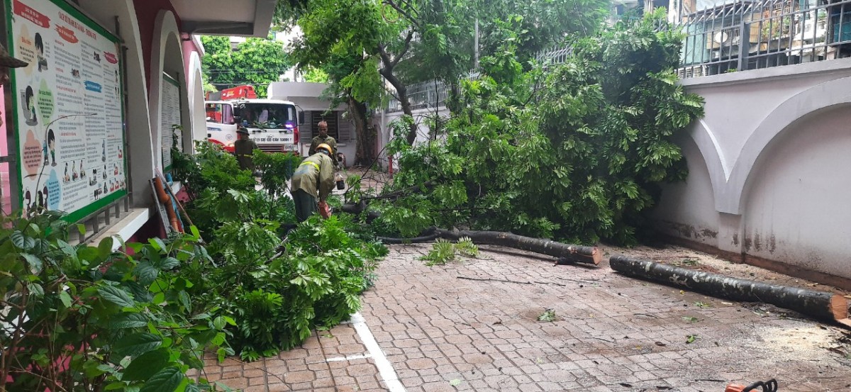 Cầu Giấy: Ứng phó bão số 3 với tinh thần ở mức cao nhất